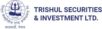 trishulsecurities